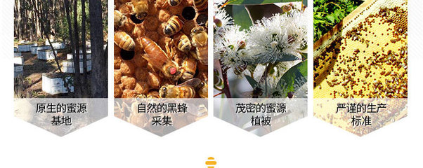 桉树蜂蜜的功效与作用,桉树蜜的功效和作用