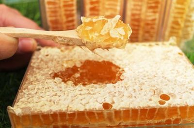 真蜂蜜是如何做成的呢(真蜂蜜是如何做成的呢图片)