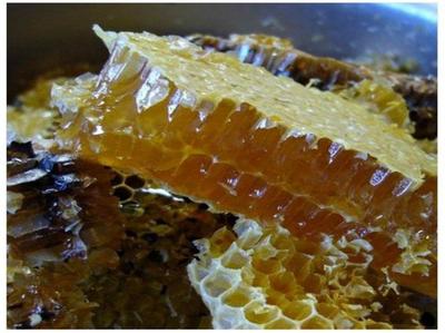 怎么辨别蜂蜜是真还是假呢(怎么辨别蜂蜜是真还是假呢视频)